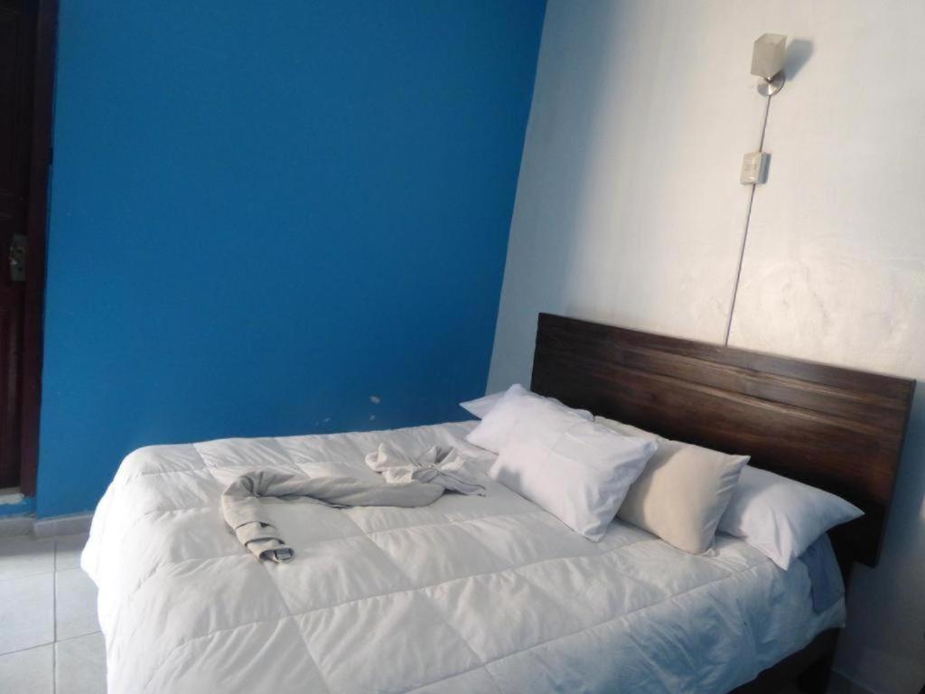 Apartament Qosqollay Plaza De Armas Cuzco Zewnętrze zdjęcie